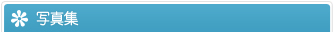 写真集